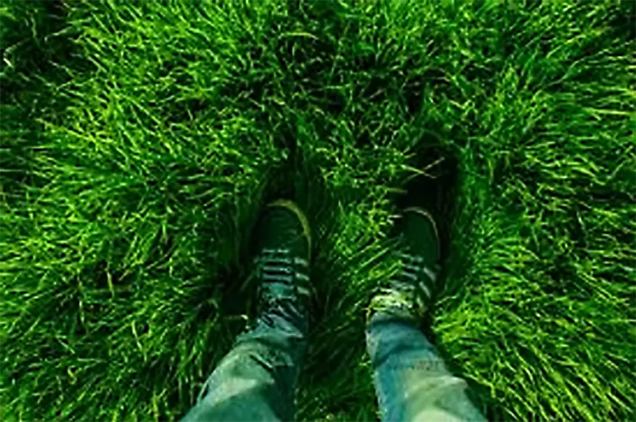 man standing in grass